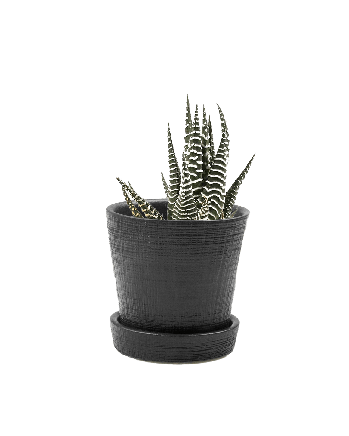 Mick Ceramic Pot And Saucer Set With Drainage - Chive Ceramics Studio - Pots - Chive US