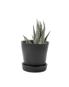 Mick Ceramic Pot And Saucer Set With Drainage - Chive Ceramics Studio - Pots - Chive US
