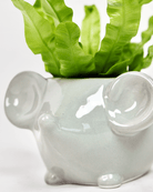 Mouse Ceramic Indoor Plant Pot For Succulents - Chive Ceramics Studio - Pots - Chive US