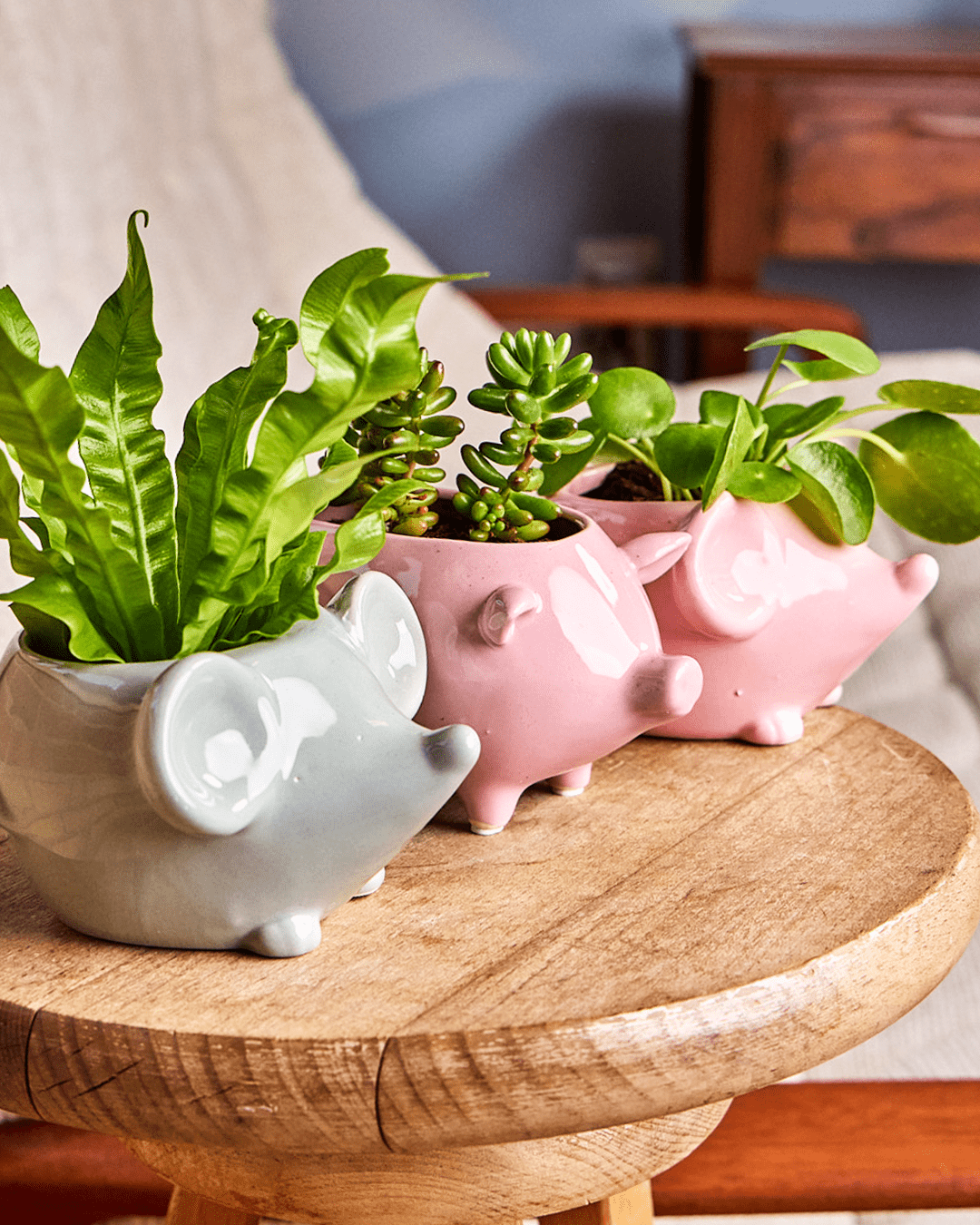 Mouse Ceramic Indoor Plant Pot For Succulents - Chive Ceramics Studio - Pots - Chive US