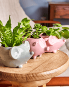 Mouse Ceramic Indoor Plant Pot For Succulents - Chive Ceramics Studio - Pots - Chive US