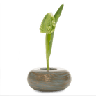 Neutrino Glass Ikebana Kenzan Vase - Chive Ceramics Studio - Vases - Chive Ceramics Studio