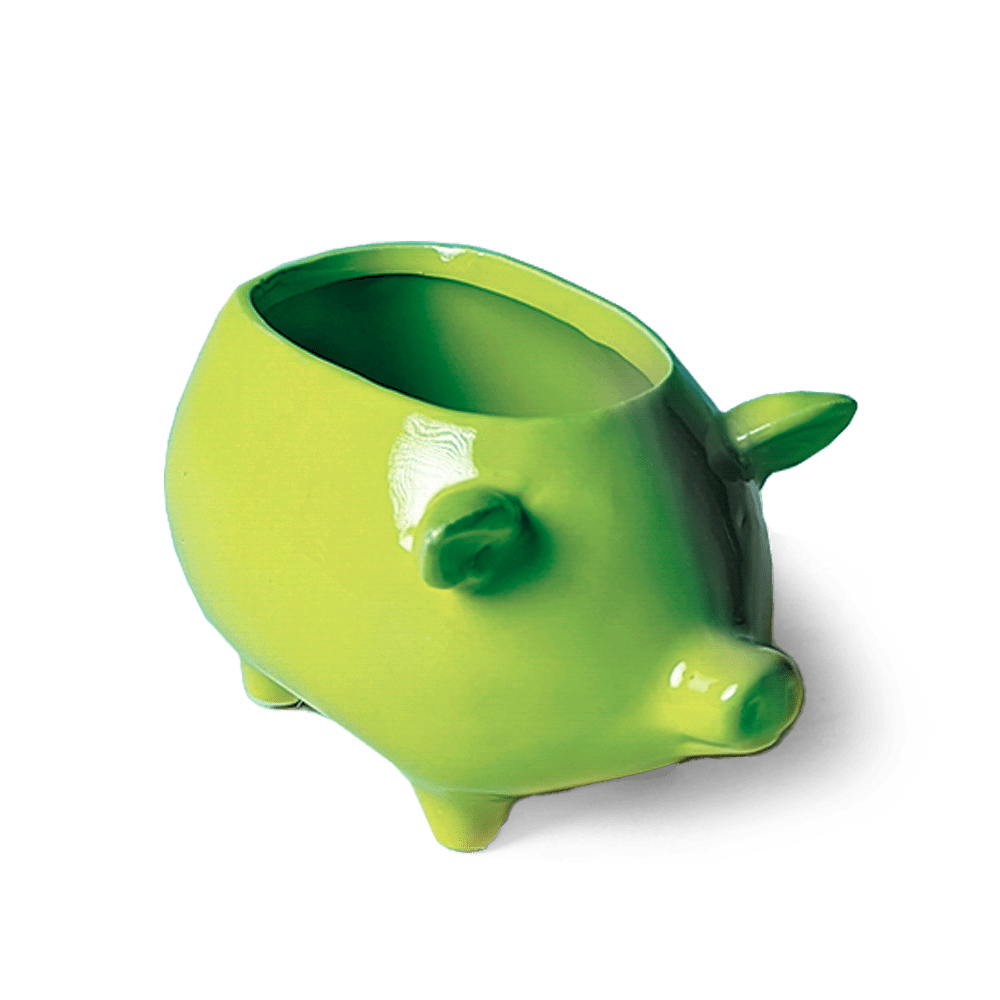 Pig Ceramic Indoor Plant Pot For Succulents - Chive Ceramics Studio - Pots - Chive Ceramics Studio