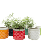 Pina Ceramic Succulent Planter Pot - Chive Ceramics Studio - Pots - Chive Ceramics Studio