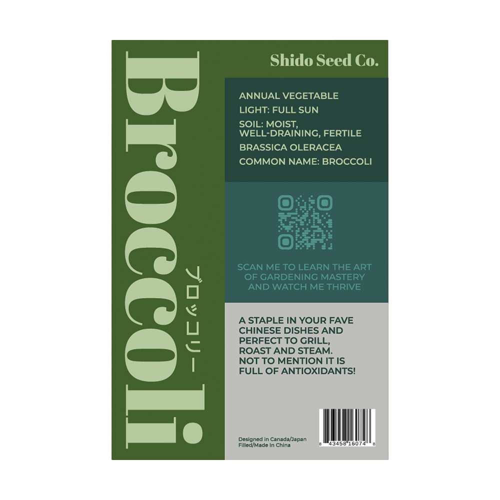 Broccoli Vegetable Seeds Packet - Chive Ceramics Studio - Seeds - Chive Ceramics Studio