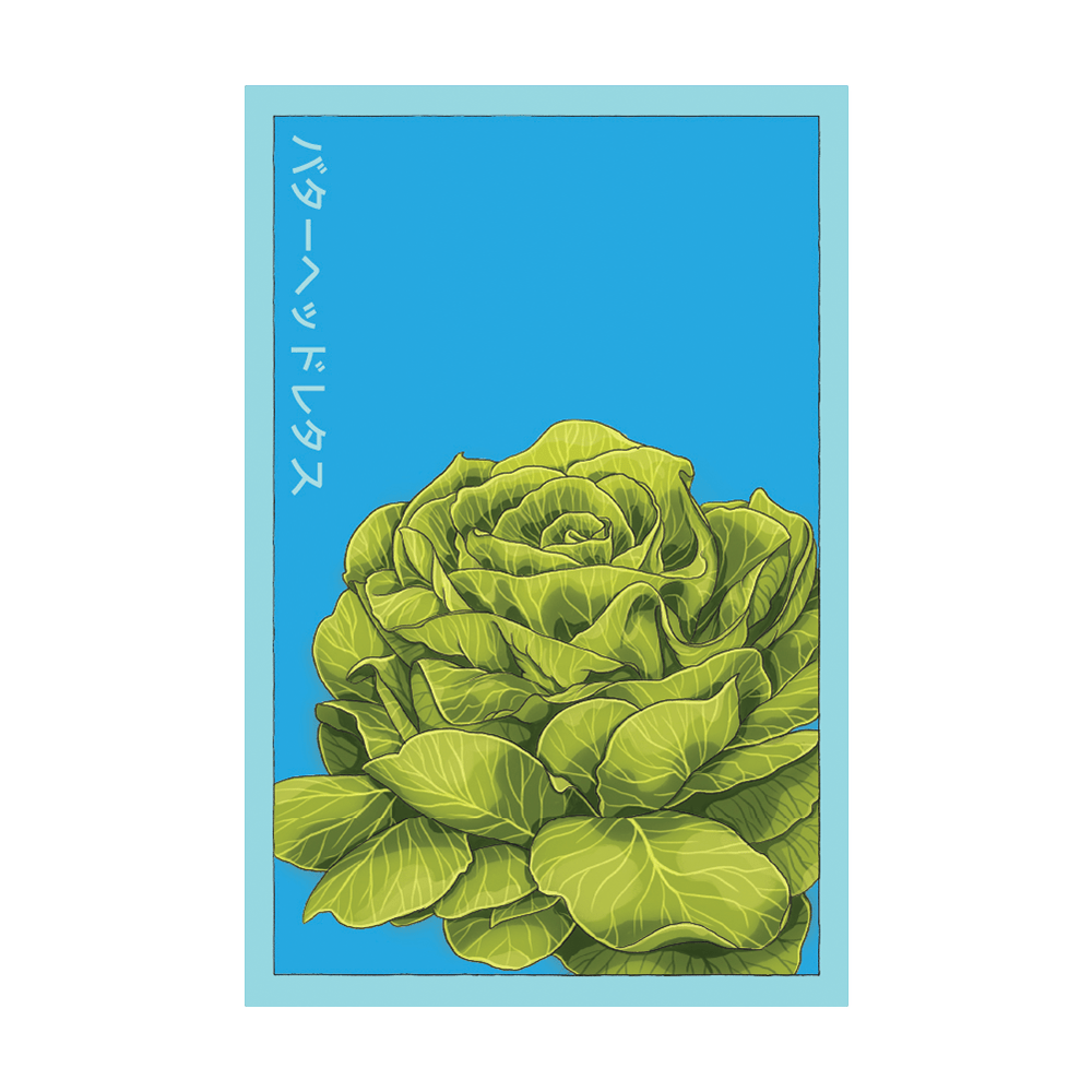 Butterhead Lettuce Vegetable Seeds Packet - Chive Ceramics Studio - Seeds - Chive Ceramics Studio