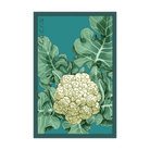 Cauliflower Vegetable Seeds Packet - Chive Ceramics Studio - Seeds - Chive Ceramics Studio