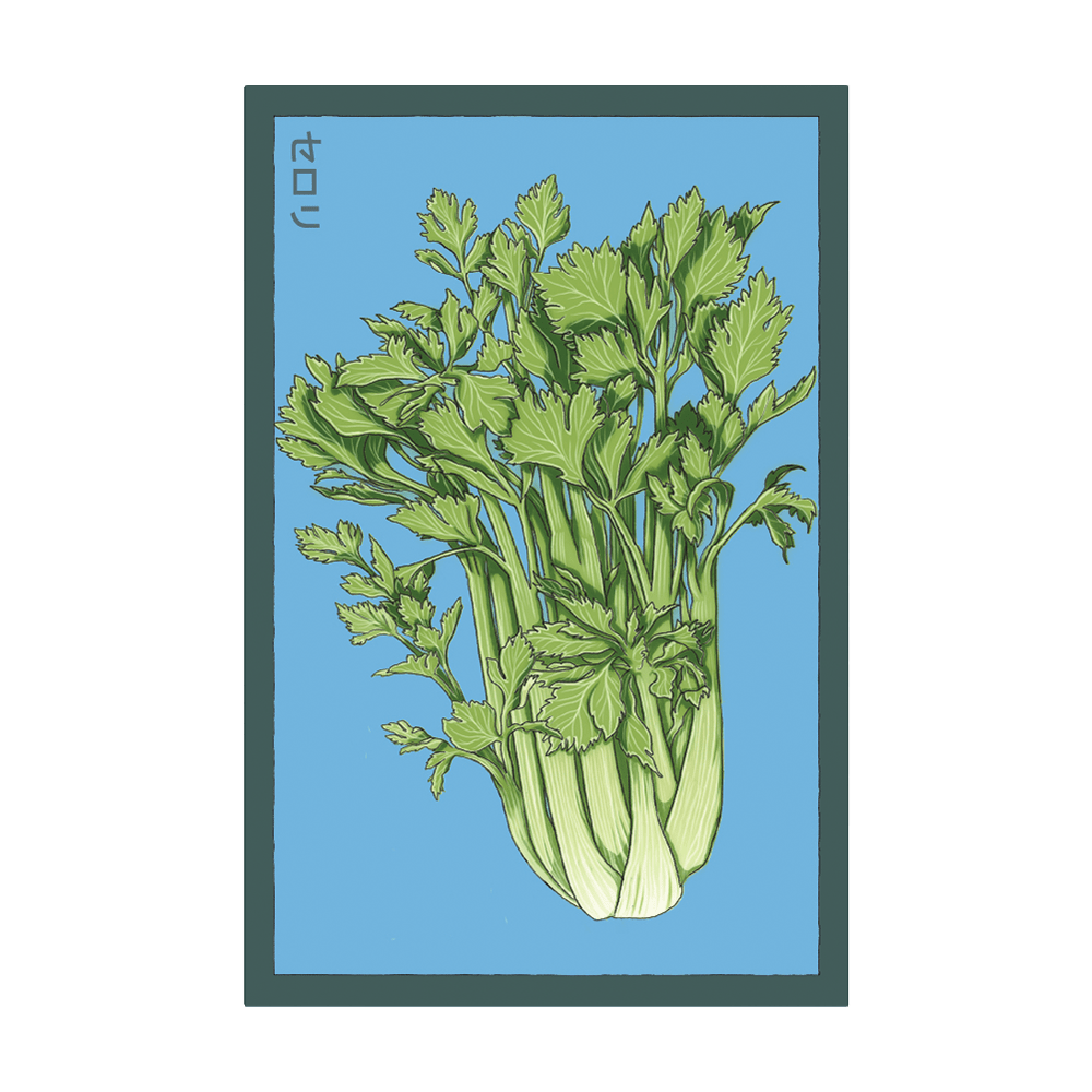 Celery Vegetable Seeds Packet - Chive Ceramics Studio - Seeds - Chive Ceramics Studio