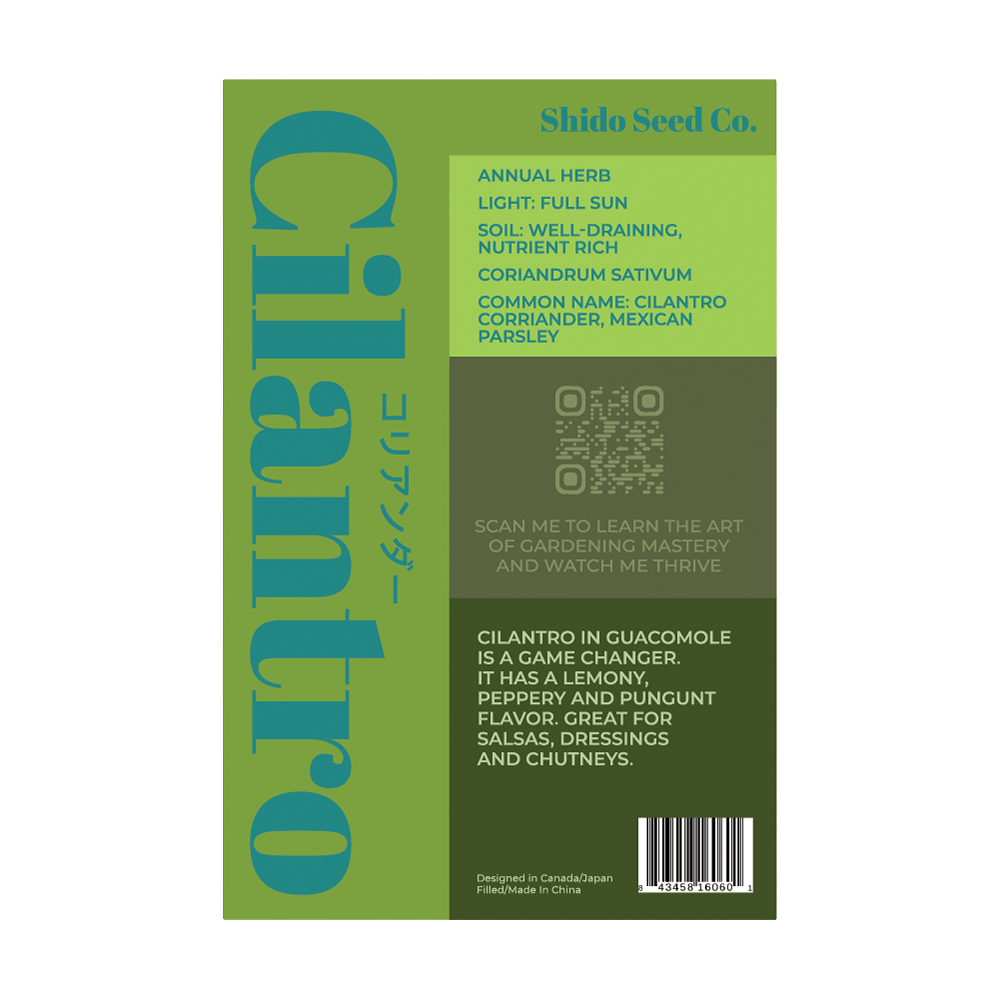 Cilantro Herb Seeds Packet - Chive Ceramics Studio - Seeds - Chive Ceramics Studio