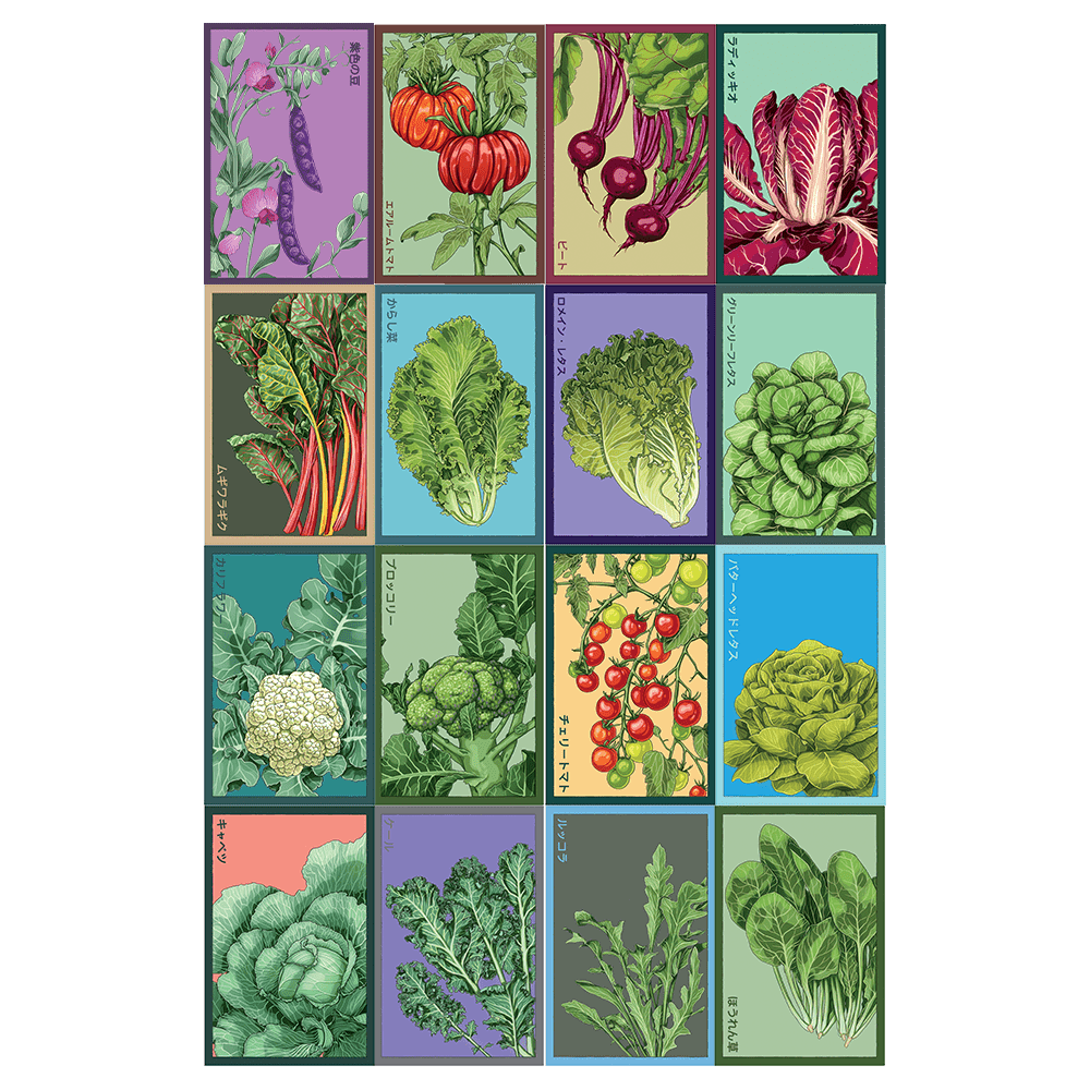 Shido Seed Kit - Vegetables - 33pc Assortment - Chive Ceramics Studio - Chive Ceramics Studio
