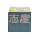 Shido Coconut Soy Blend Candle - Chive Ceramics Studio - Candles - Chive Ceramics Studio