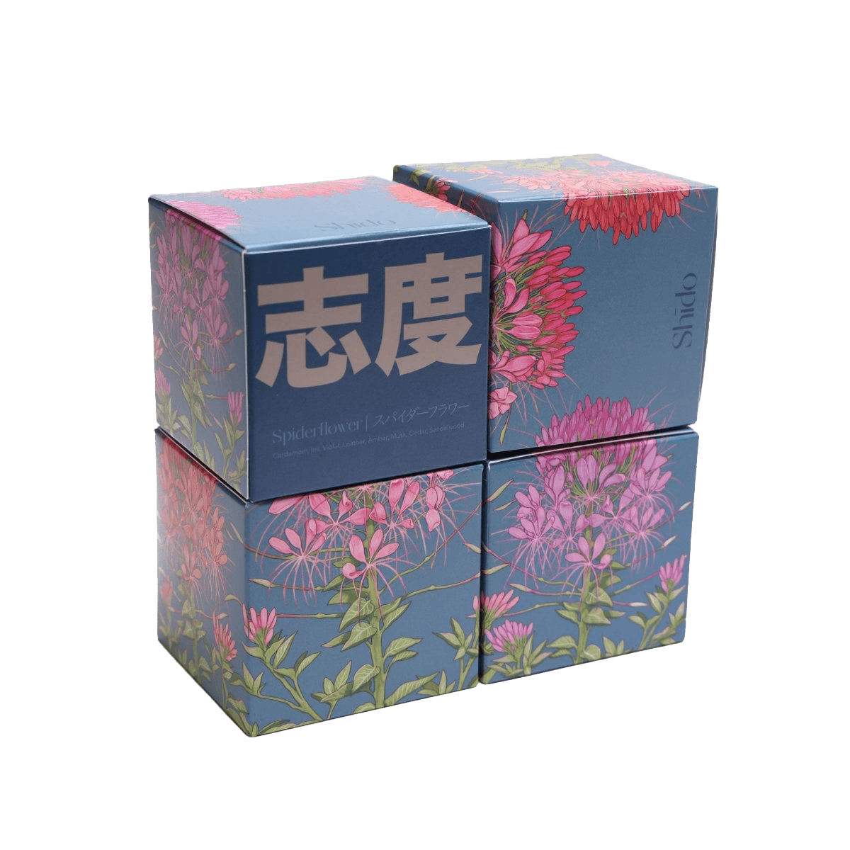 Shido Coconut Soy Blend Candle - Chive Ceramics Studio - Candles - Chive Ceramics Studio