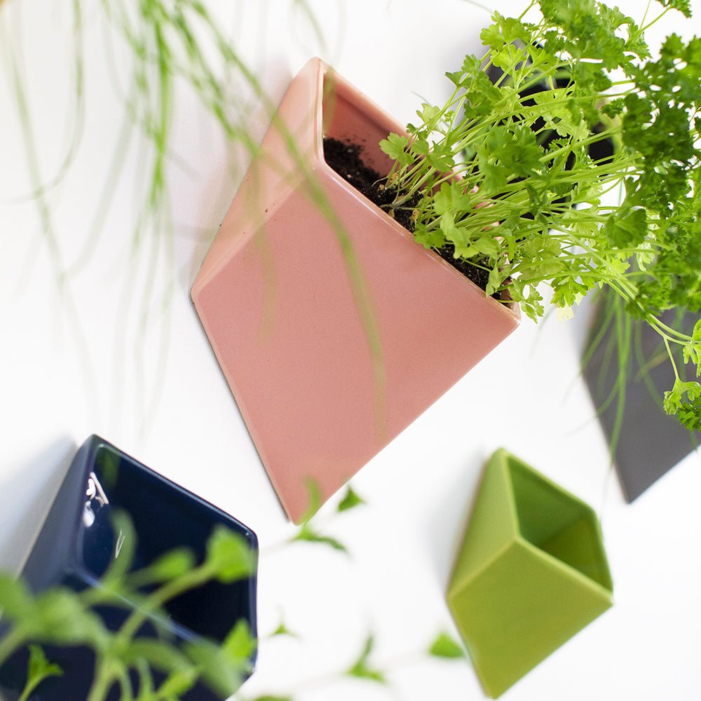 Slab Wall Planter For Succulents - Chive Ceramics Studio - Pots - Chive US
