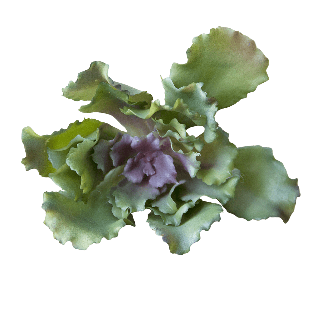 Succulents Fake Faux Lifelike Decorative Things - Chive Ceramics Studio - Tools & Accessories - Chive US