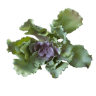Succulents Fake Faux Lifelike Decorative Things - Chive Ceramics Studio - Tools & Accessories - Chive US
