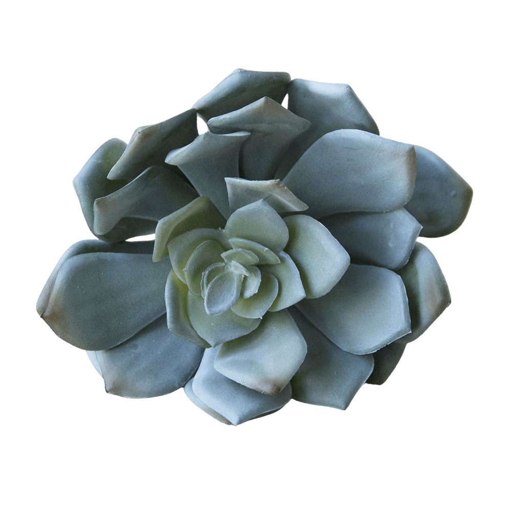 Succulents Fake Faux Lifelike Decorative Things - Chive Ceramics Studio - Tools & Accessories - Chive US