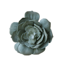 Succulents Fake Faux Lifelike Decorative Things - Chive Ceramics Studio - Tools & Accessories - Chive US