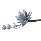 Succulents Fake Faux Lifelike Decorative Things - Chive Ceramics Studio - Tools & Accessories - Chive US