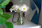 Sprocket Glass Modern Watering Container - Chive Ceramics Studio - Tools & Accessories - Chive Ceramics Studio