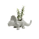 Triceratops Ceramic Indoor Plant Pot for Succulents - Chive Ceramics Studio - Pots - Chive Ceramics Studio