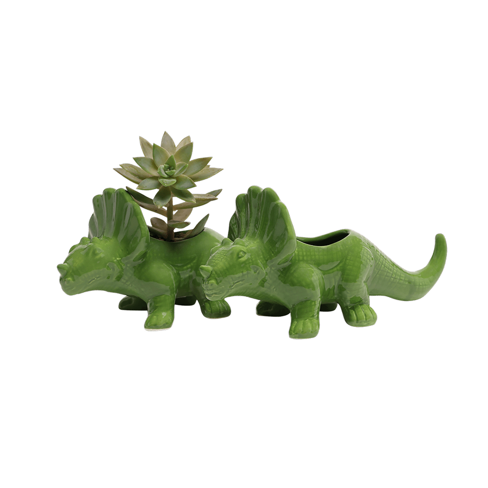 Triceratops Ceramic Indoor Plant Pot for Succulents - Chive Ceramics Studio - Pots - Chive Ceramics Studio