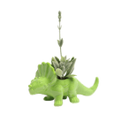 Triceratops Ceramic Indoor Plant Pot for Succulents - Chive Ceramics Studio - Pots - Chive Ceramics Studio