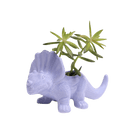 Triceratops Ceramic Indoor Plant Pot for Succulents - Chive Ceramics Studio - Pots - Chive Ceramics Studio