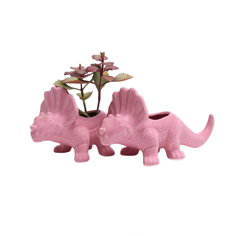 Triceratops Ceramic Indoor Plant Pot for Succulents - Chive Ceramics Studio - Pots - Chive Ceramics Studio