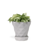 Diamond Porcelain Modern Indoor Plant Pot With Saucer - Chive Ceramics Studio - Pots - Chive US
