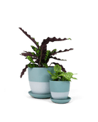 Dyad Porcelain Modern Indoor Plant Pot With Saucer - Chive Ceramics Studio - Pots - Chive US
