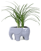 Elephant Ceramic Indoor Plant Pot For Succulents - Chive Ceramics Studio - Pots - Chive US