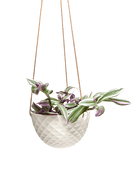 Mini Mofo Porcelain Modern Hanging Planter - Chive Ceramics Studio - Pots - Chive Ceramics Studio