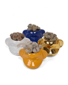 Funky Monkey Planter - Chive Ceramics Studio - Pots - Chive Ceramics Studio