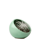 Half Moon Ceramic Terrarium Bowl - Chive Ceramics Studio - Pots - Chive US