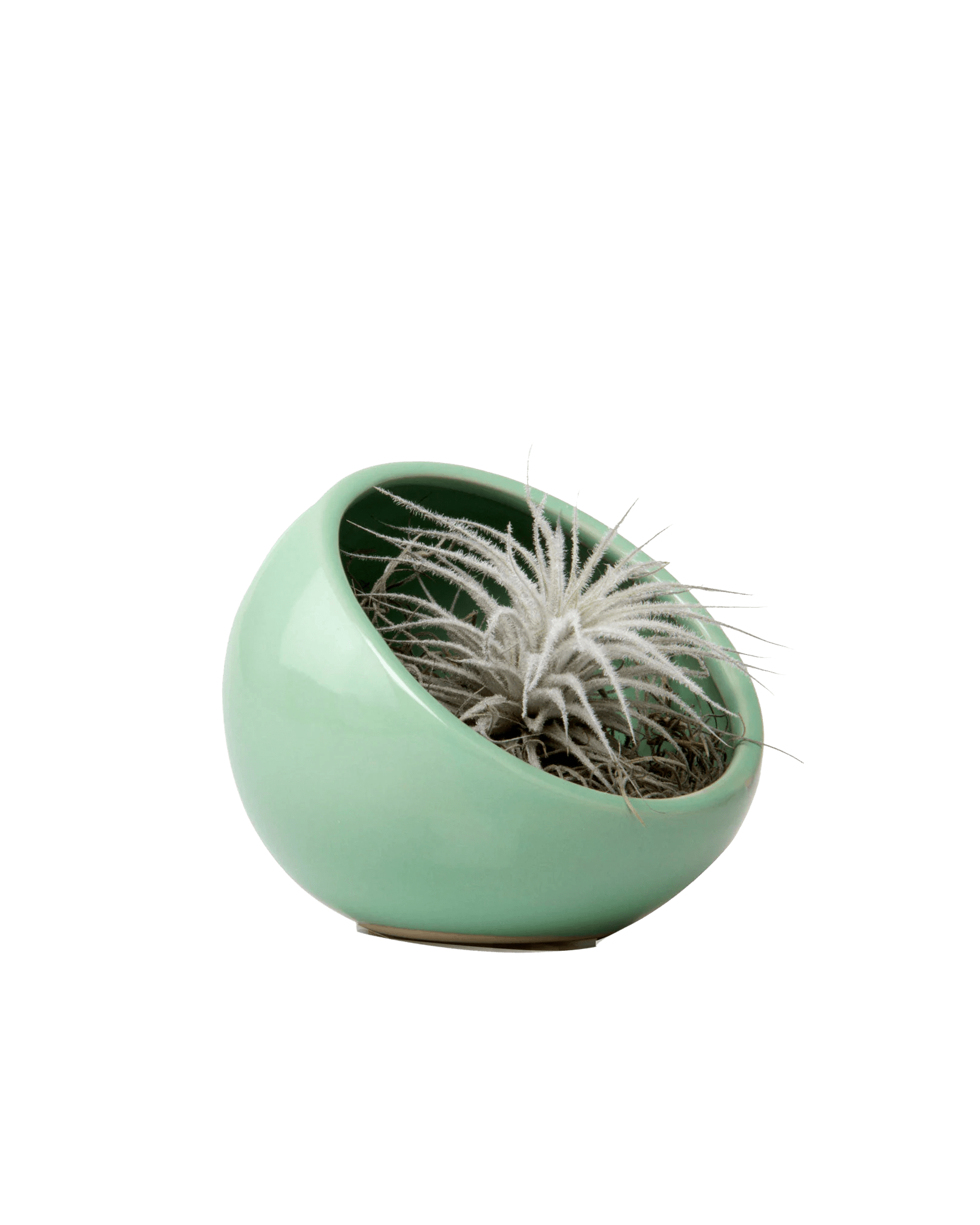 Half Moon Ceramic Terrarium Bowl - Chive Ceramics Studio - Pots - Chive US