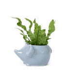 Mouse Ceramic Indoor Plant Pot For Succulents - Chive Ceramics Studio - Pots - Chive US