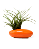 Pebble Ceramic Ikebana Kenzan Container - Chive Ceramics Studio - Pots - Chive US