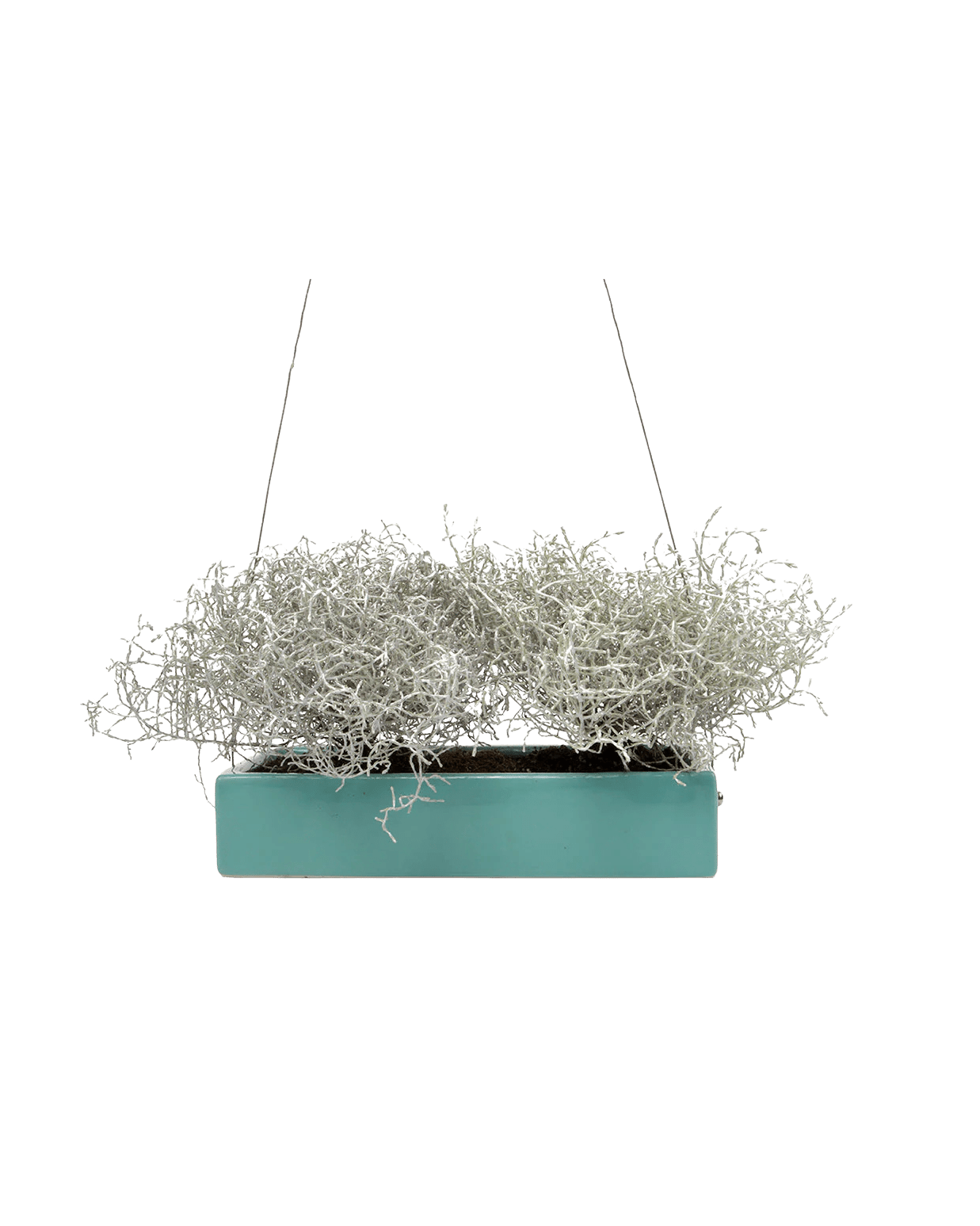Ragna Ceramic Hanging Planter - Chive Ceramics Studio - Pots - Chive US
