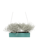 Ragna Ceramic Hanging Planter - Chive Ceramics Studio - Pots - Chive US