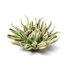 Ceramic Flowers With Keyhole For Hanging On Walls Collection 2 - Chive Ceramics Studio - Ceramic Flowers - Chive Ceramics Studio