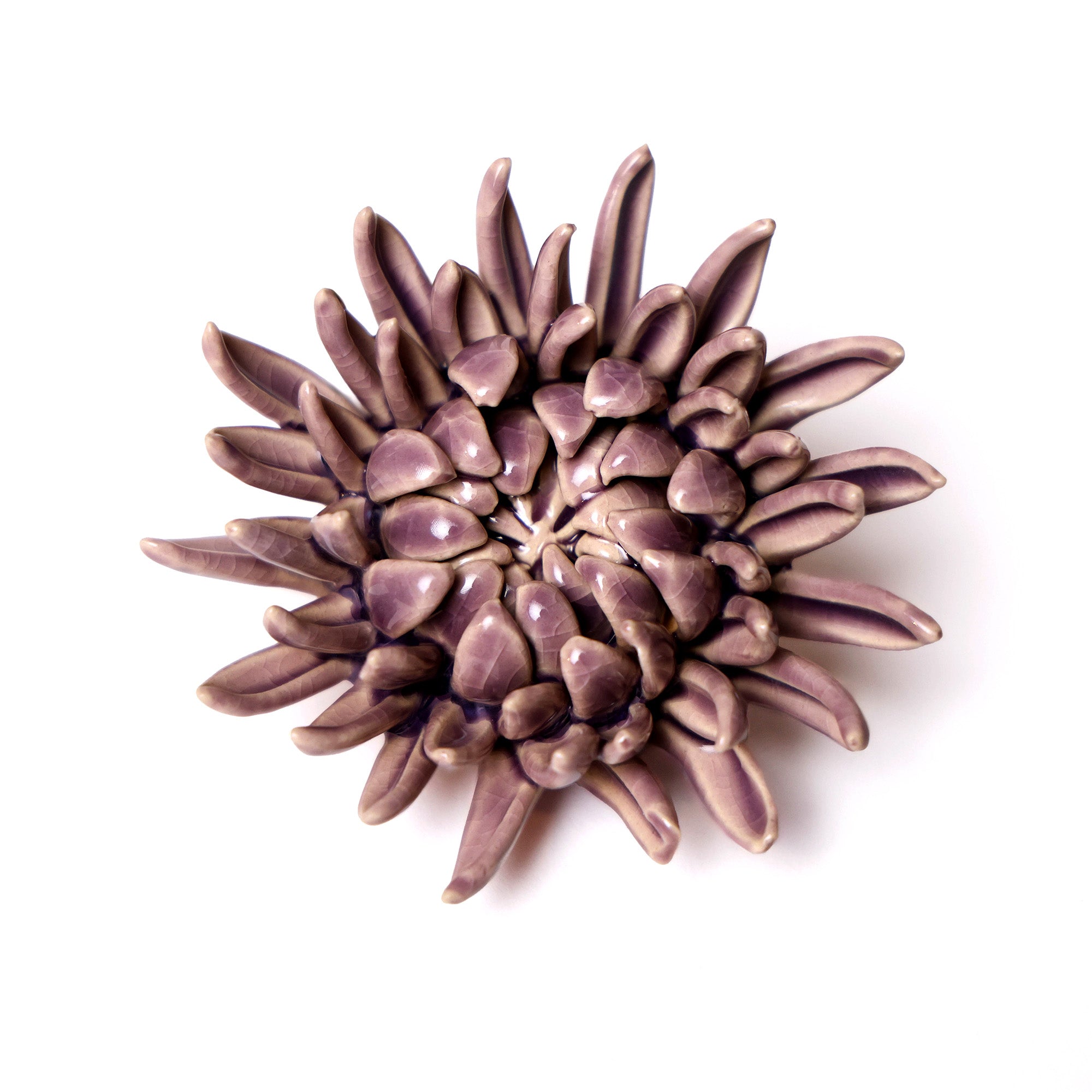 Ceramic Flowers With Keyhole For Hanging On Walls Collection 3 - Chive Ceramics Studio - Ceramic Flowers - Chive Ceramics Studio