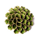 Ceramic Flowers With Keyhole For Hanging On Walls Collection 5 - Chive Ceramics Studio - Ceramic Flowers - Chive Ceramics Studio
