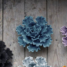 Ceramic Flowers With Keyhole For Hanging On Walls Collection 10 - Chive Ceramics Studio - Ceramic Flowers - Chive Ceramics Studio